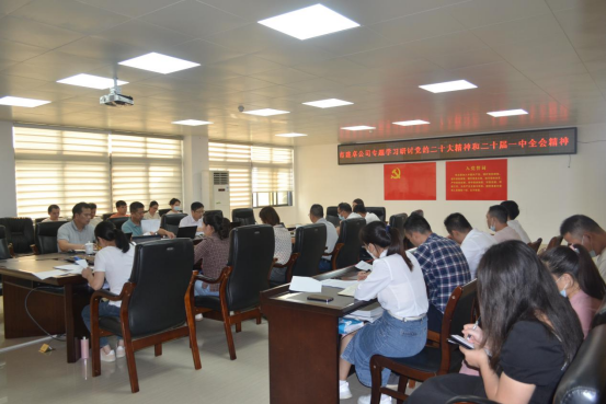 市建卓公司崇左办专题学习研讨党的二十大精神和二十届一中全会精神.jpg