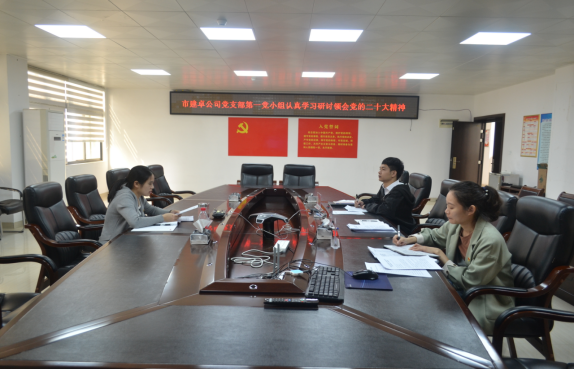 崇左市建卓公司第一党小组专题学习研讨党的二十大精神和党章.png
