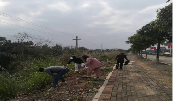 开展高速路旁环境卫生整治.png